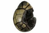 Polished Septarian Puzzle Geode - Black Crystals #172136-4